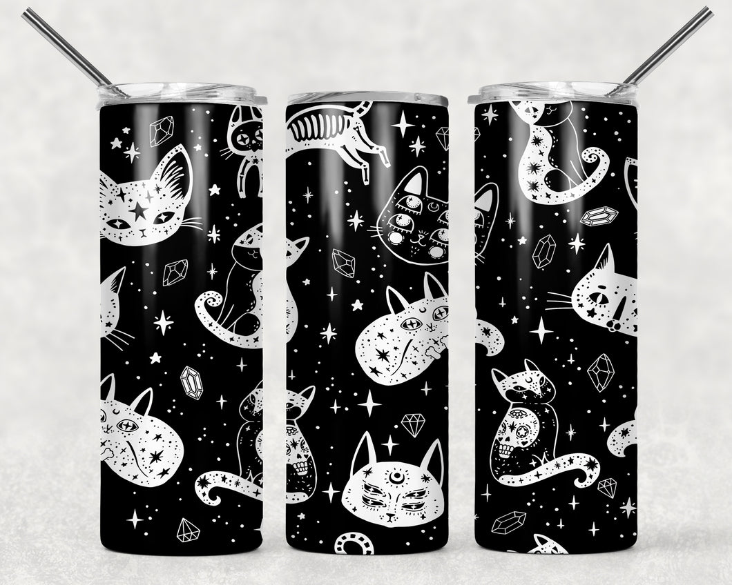 Black & White Cats